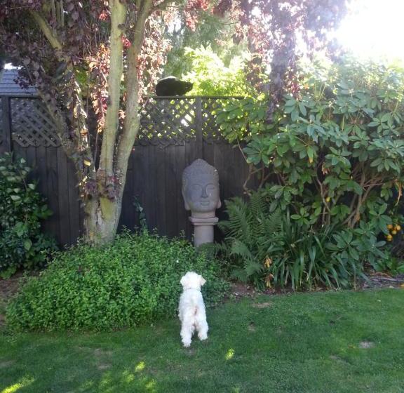 민박 Berni S Boutique Bnb