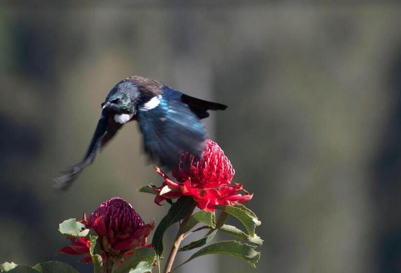 민박 Waitomo Caves Guest Lodge