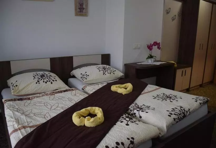 Hostel Novak