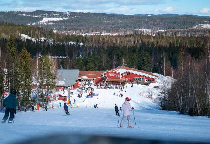 ホテル Hassela Ski Resort
