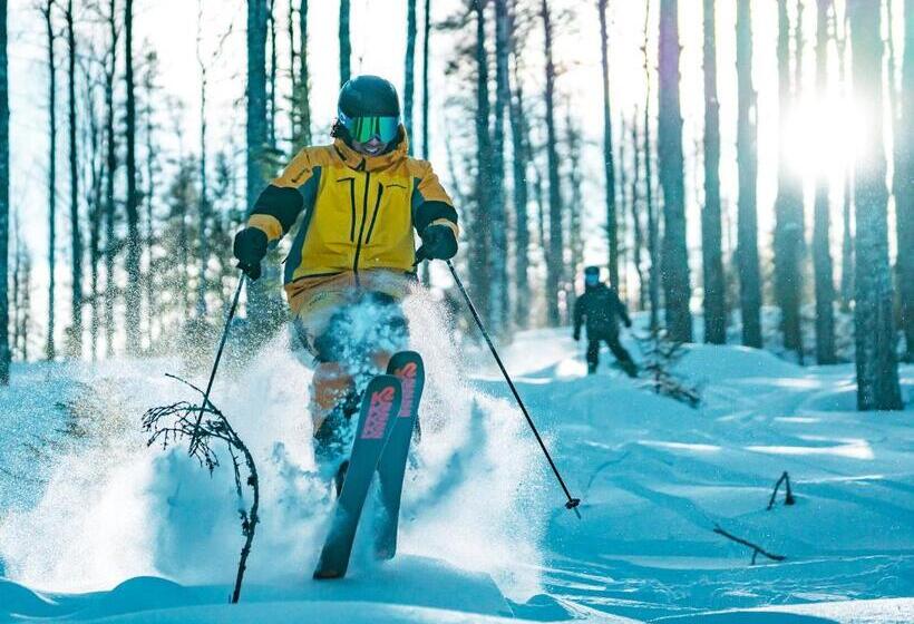 ホテル Hassela Ski Resort