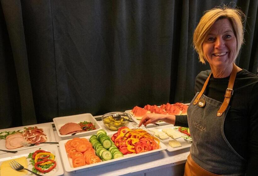 ホテル Hassela Ski Resort