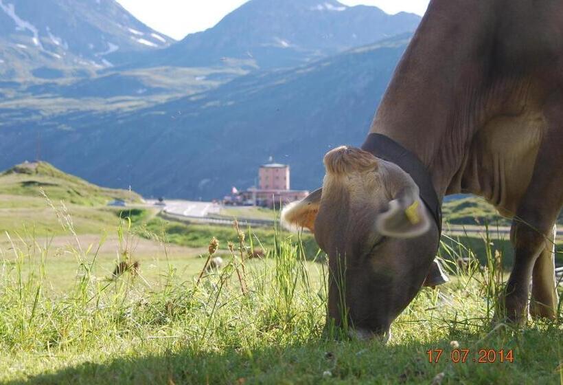 Отель Restaurant Monte Leone