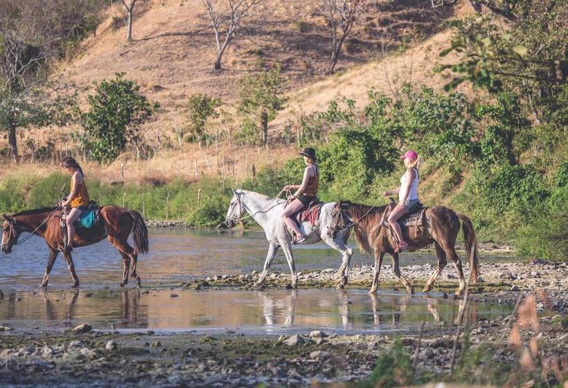 فندق Selina Pedasi