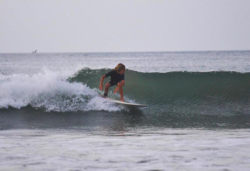 فندق Selina Pedasi