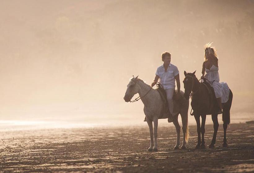 فندق Selina Pedasi