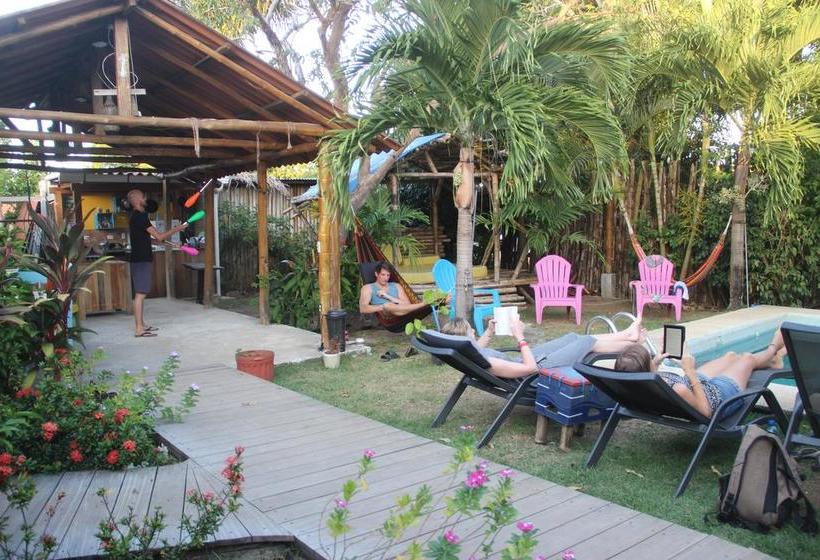 فندق Selina Pedasi