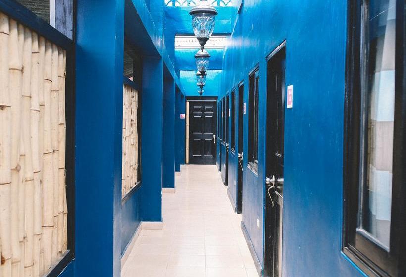 فندق Selina Pedasi