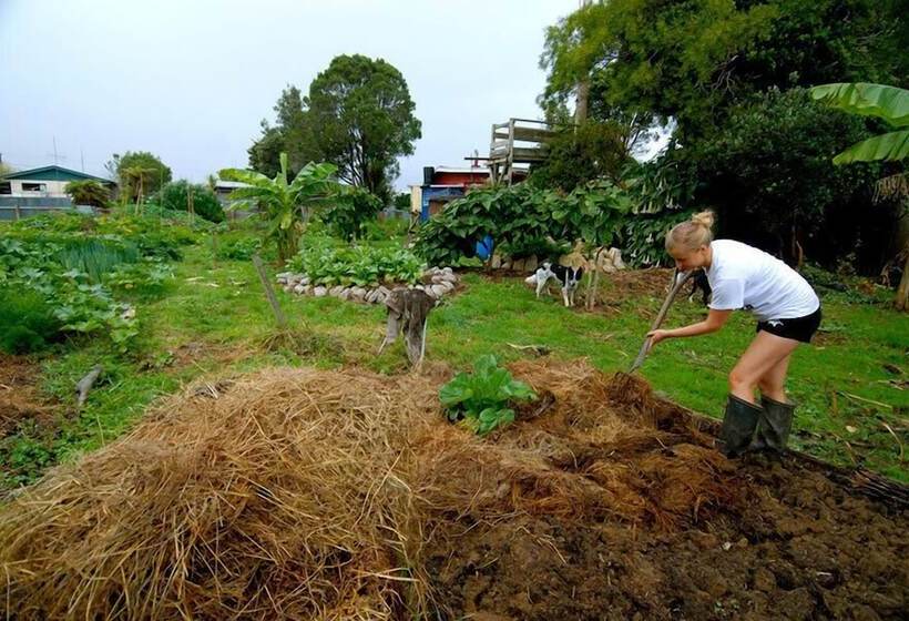 מוטל Karamea Farm Baches