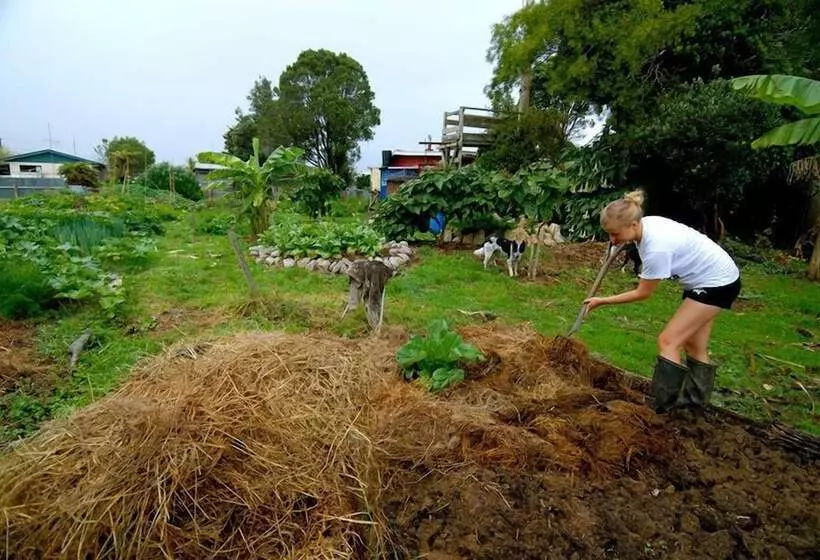 モーテル Karamea Farm Baches