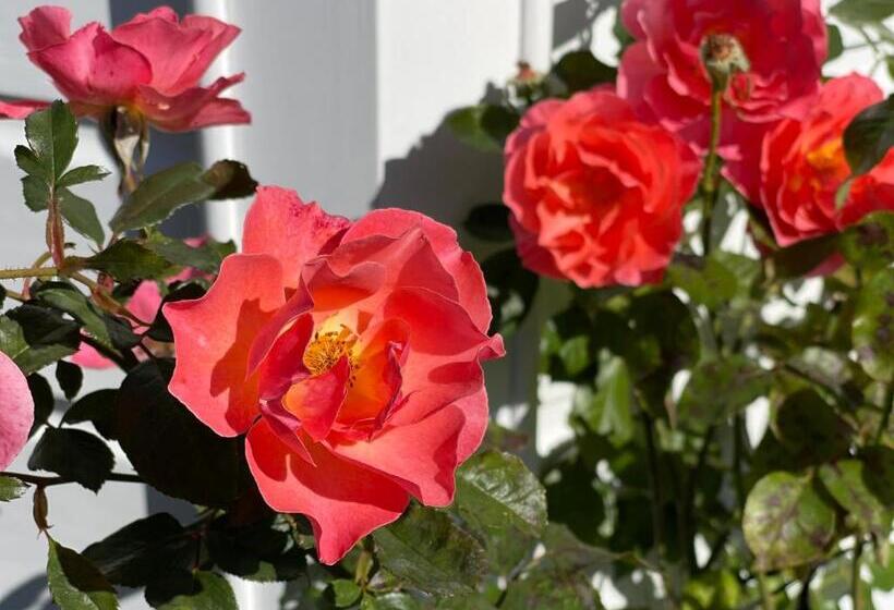 住宿加早餐 Villa Walton