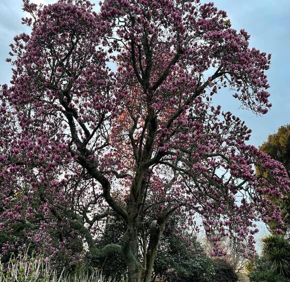 住宿加早餐 Villa Walton