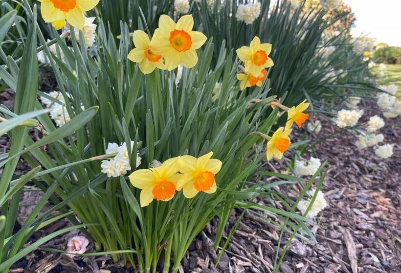 住宿加早餐 Villa Walton