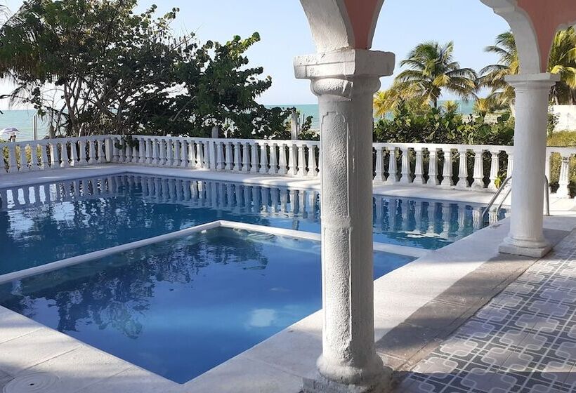 Pension Flamingo Guest House Celestún