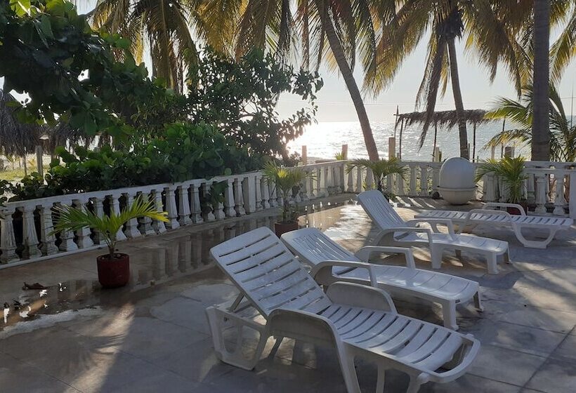 Pension Flamingo Guest House Celestún