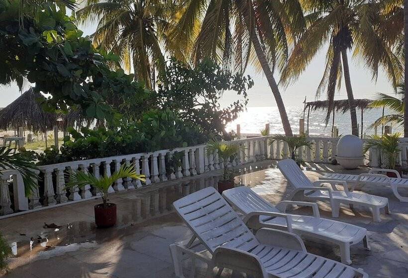 Pension Flamingo Guest House Celestún