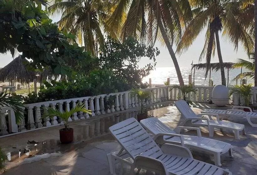 ペンション Flamingo Guest House Celestún