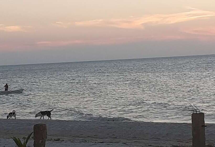 Pension Flamingo Guest House Celestún