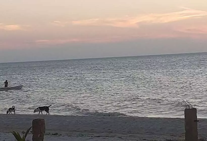 ペンション Flamingo Guest House Celestún