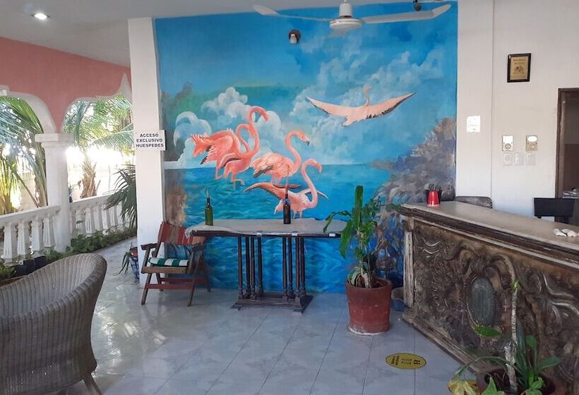 Pension Flamingo Guest House Celestún