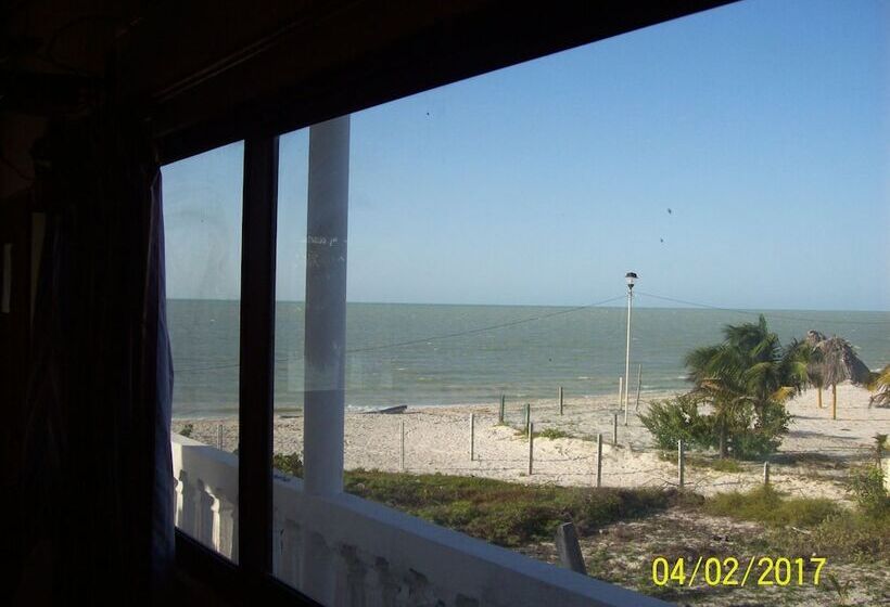 Pension Flamingo Guest House Celestún