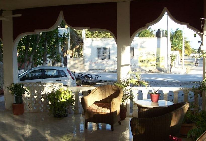 Pension Flamingo Guest House Celestún