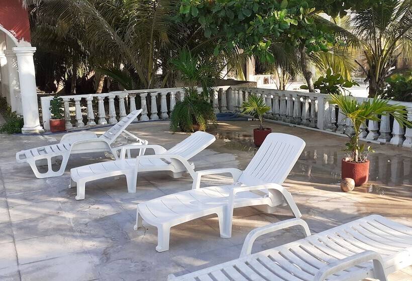Pension Flamingo Guest House Celestún