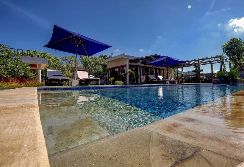 مبيت وإفطار Villa Luna