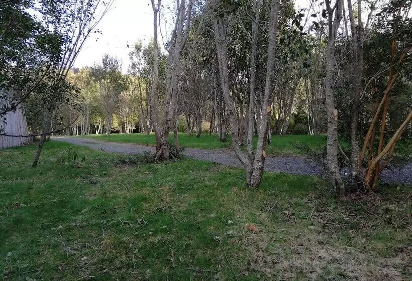 Cabañas Rústicas Pucón