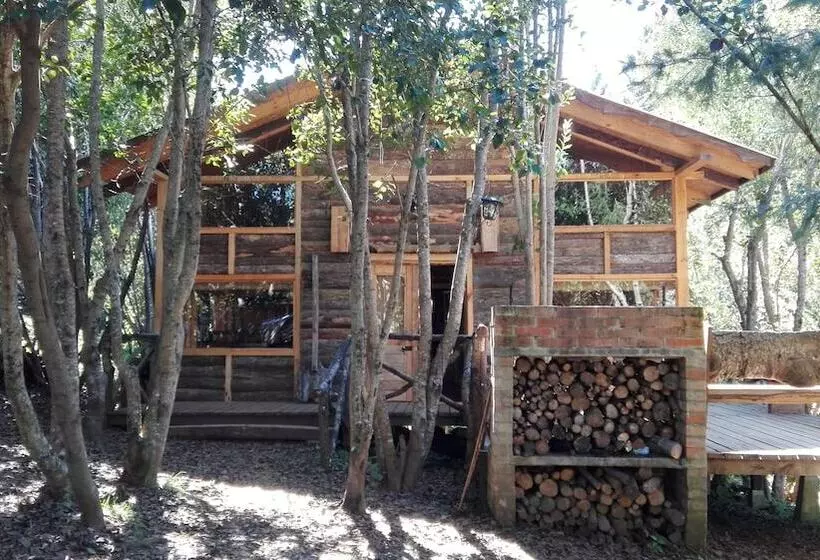 Cabañas Rústicas Pucón