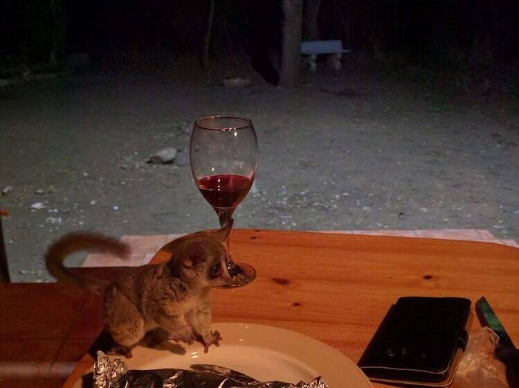 ホテル Rafiki's Resthouse