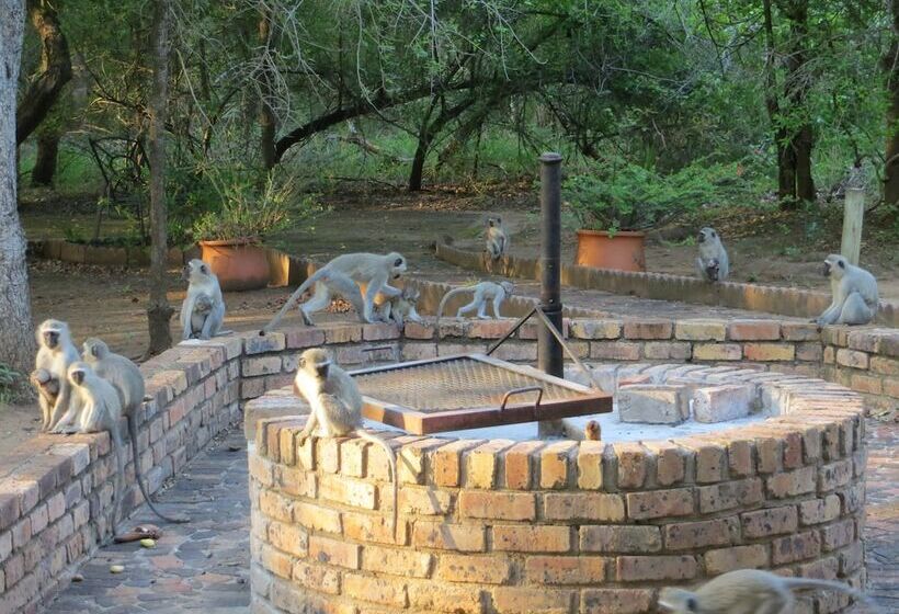 ホテル Rafiki's Resthouse