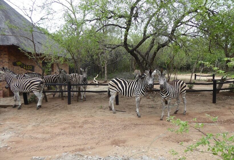 ホテル Rafiki's Resthouse