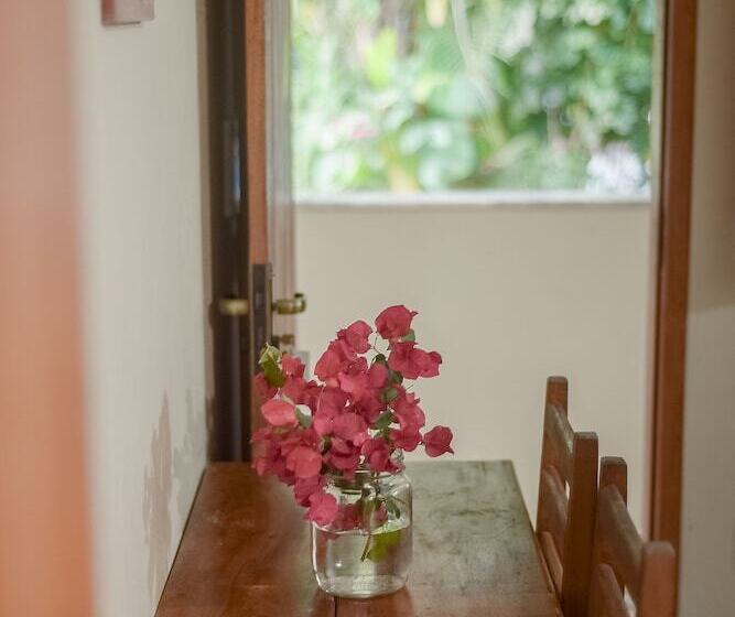 ホテル Pousada Sonhos De Praia Chalés