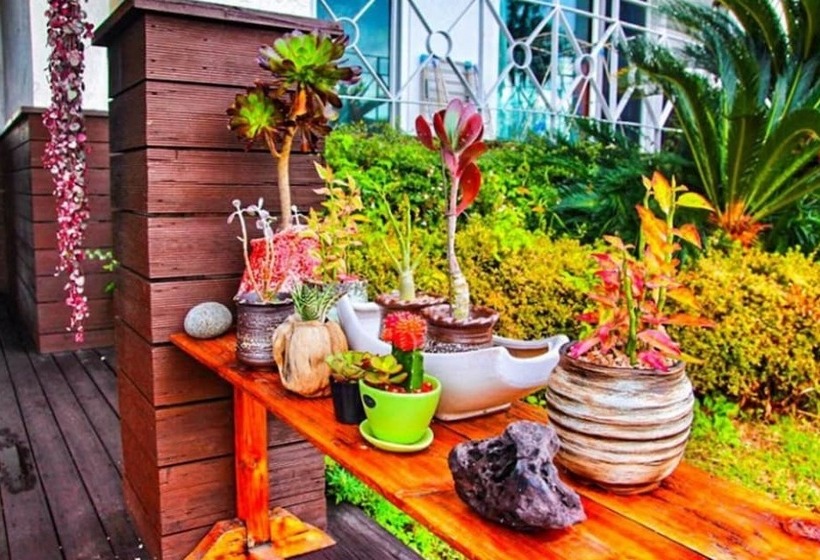 Seoguipo The Country B&b Pension