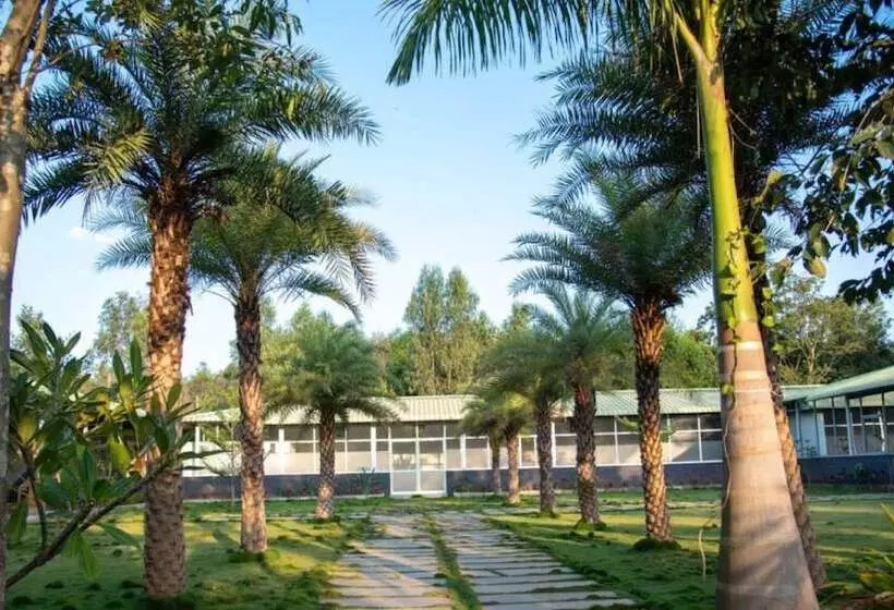 Lago Palm Resort