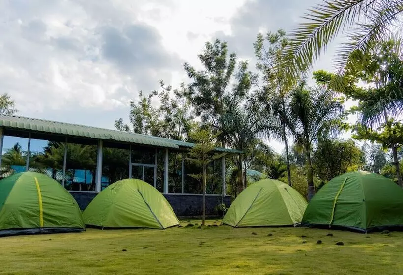 Lago Palm Resort