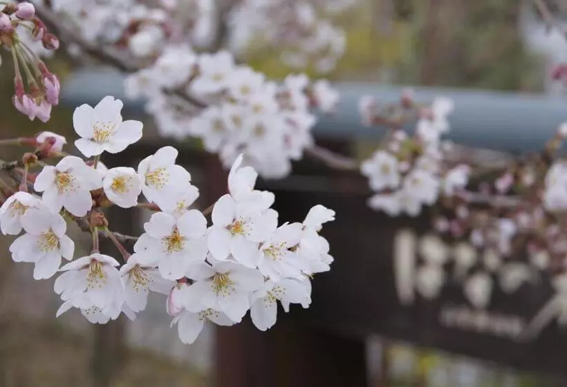 Yufuin Onsen Ryokan Hananomai
