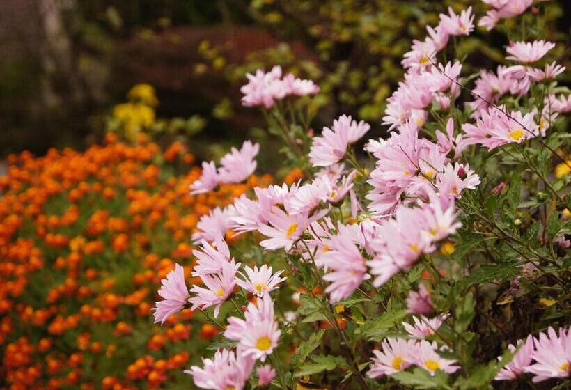 Yufuin Onsen Ryokan Hananomai