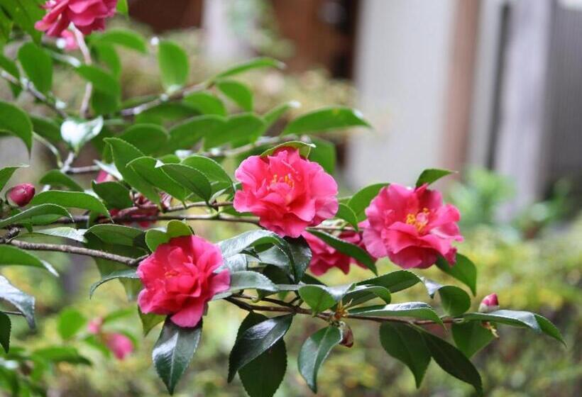 Yufuin Onsen Ryokan Hananomai