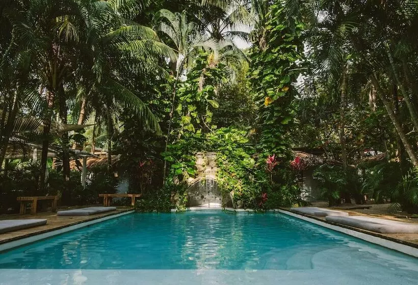 ホテル Norte Nosara