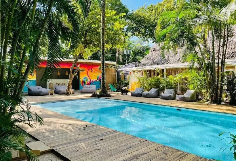 ホテル Norte Nosara