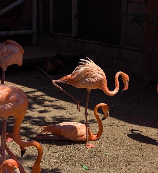 هتل Raices De La Guajira