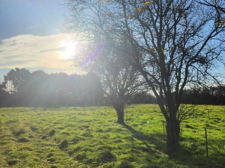 호텔 Tranquil Equestrian Escape Sleeps 2