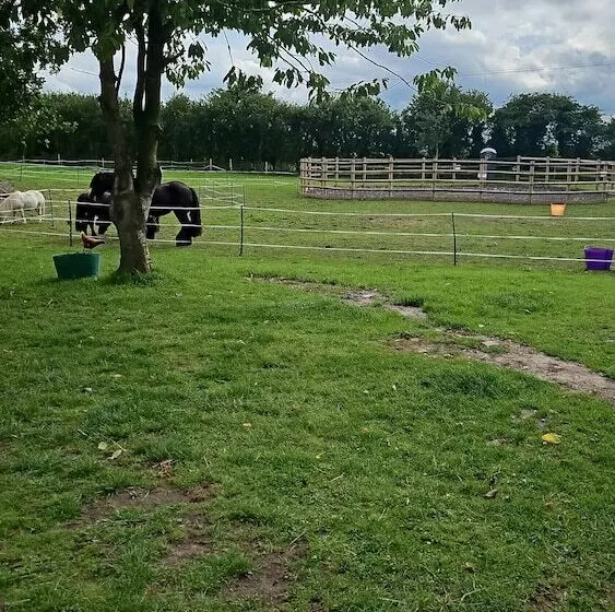 Hotelli Tranquil Equestrian Escape   Sleeps 2