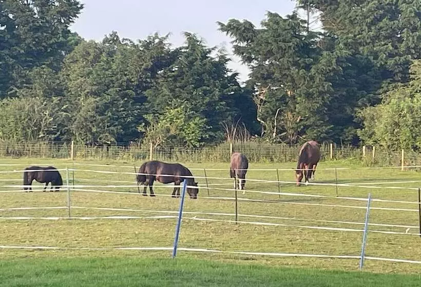 Hotelli Tranquil Equestrian Escape   Sleeps 2