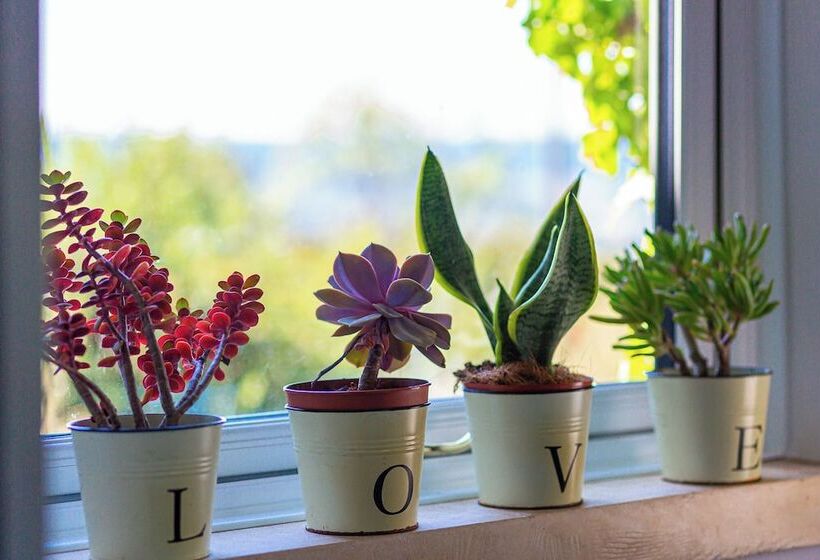 Pensão Lovely 2 Bd With Stunning Views Over Stroud Valley