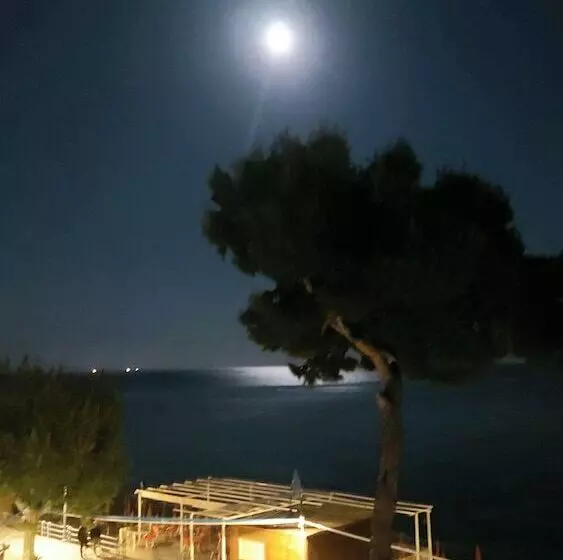 ペンション Galene   Beachfront In Costa D Amalfi