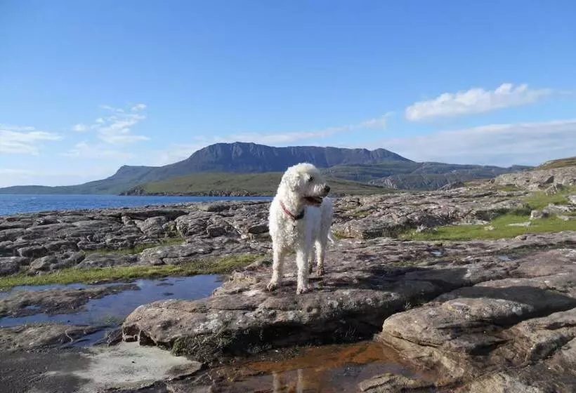 Residenssi Kildonan House Village Centre Sleep 8 With Hot Tub