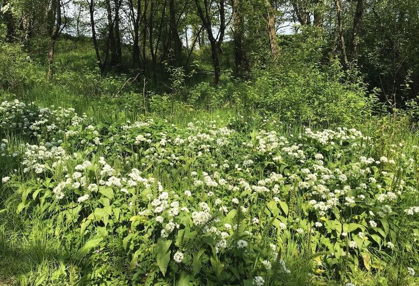 4 Bed Room Bungalow , Open Fire ,perfect Choice